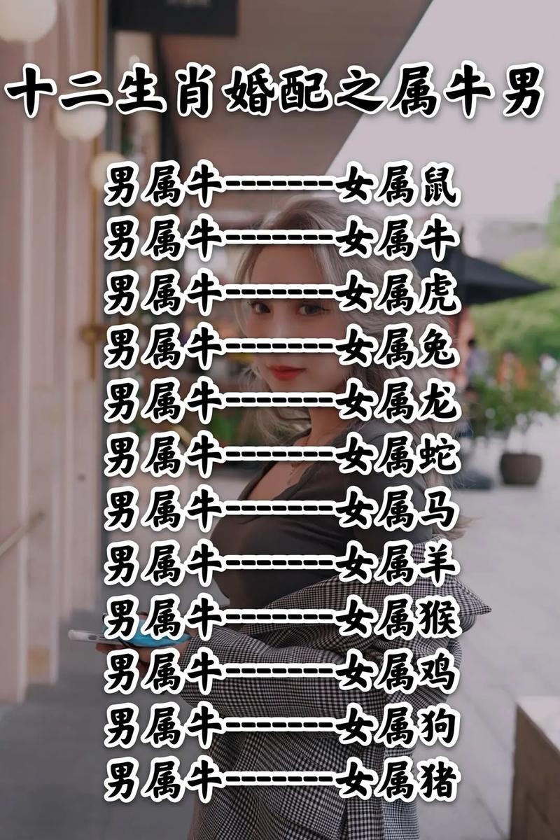 牛最佳配什么生肖:牛最佳配什么生肖最好