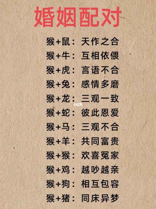 什么生肖和什么生肖相配最好:什么生肖和什么生肖相配最好一配一