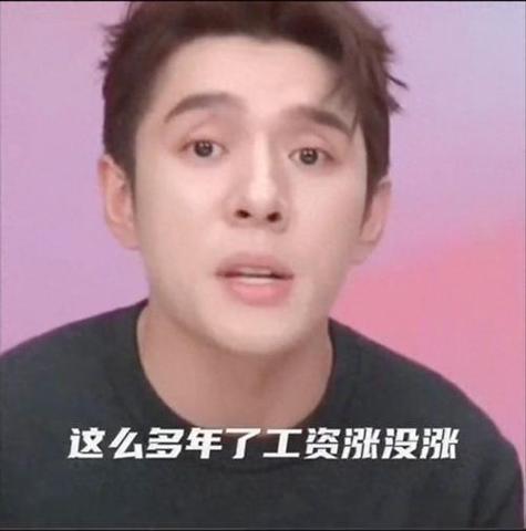 李佳琦表情包:李佳琦表情包你努力了吗