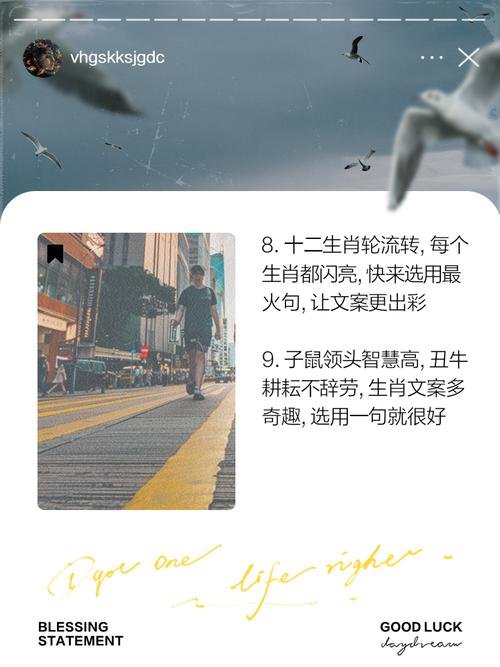 出路打一生肖:出路什么意思解释