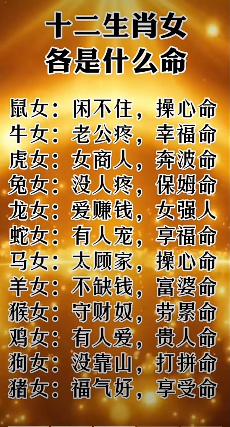什么生肖最聪明又计谋多的:什么生肖最聪明又计谋多的人