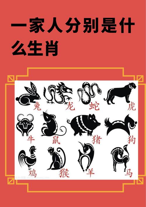 今期是什么动物:今期动物最好查的生肖
