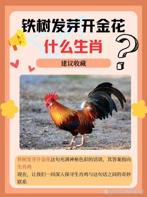 今期生肖带红花代表什么动物:今期生肖带红花代表什么动物生肖