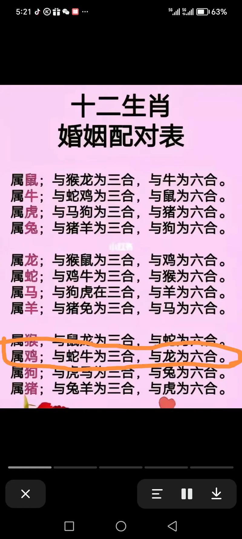 今期出在红波数是什么生肖:今期红波行大运指的是什么生肖