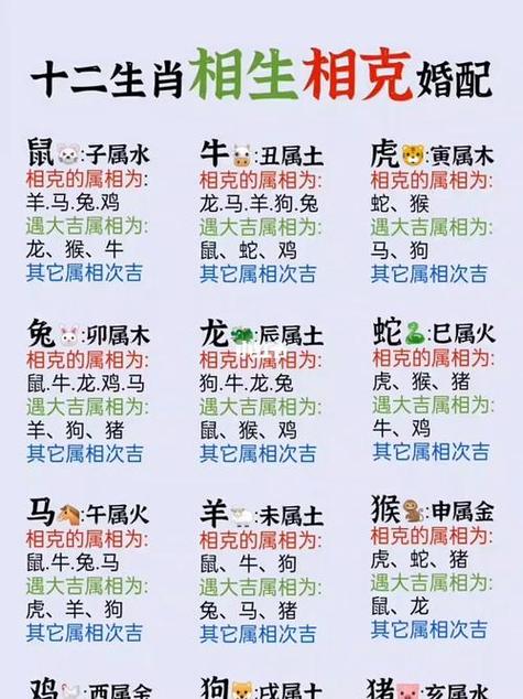 什么生肖跟猪对冲:什么生肖跟猪对冲呢