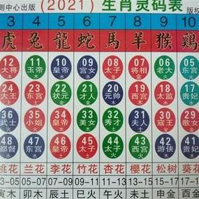 开什么看什么生肖图片大全集:开什么看什么生肖图片大全集最新
