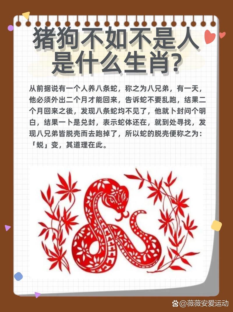 今期单数必定发,四上八下有蛇狗:今期单数必定发,四上八下有蛇狗是什么生肖