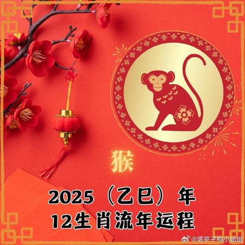 战打一生肖是猴吗:战肖有哪些生肖打仗的生肖是哪几肖
