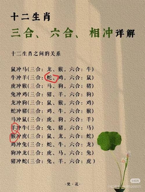 龙蛇相会在今期准打一生肖:龙蛇相会在今期是什么生肖适合出门做生意