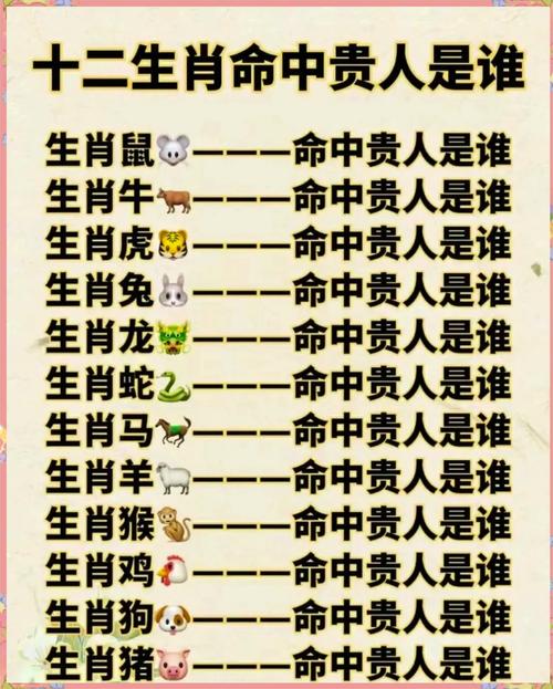 什么生肖有钱人:什么生肖有钱人人都需要