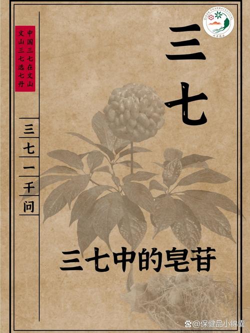 三七定型拦今期是什么数字:三七定数难进步,不同三零分两排猜生肖