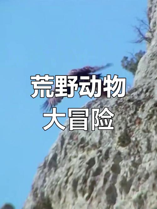生拉硬拽打一生肖动物:生拉硬拽打一生肖动物视频
