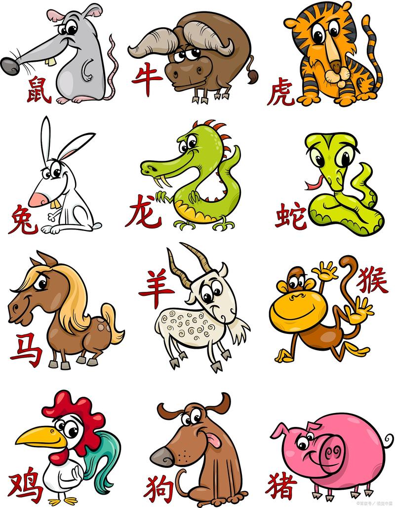 今期生肖在一头是什么意思:今期动物有头牛是指什么生肖