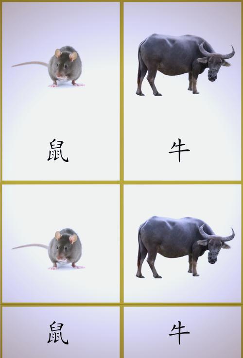 开枝散叶也相同打一生肖动物的简单介绍