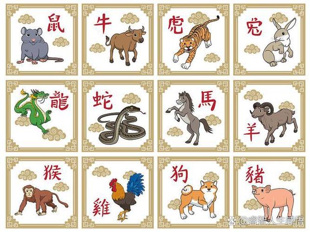 猜代表什么动物生肖:猜一猜,是什么生肖呢