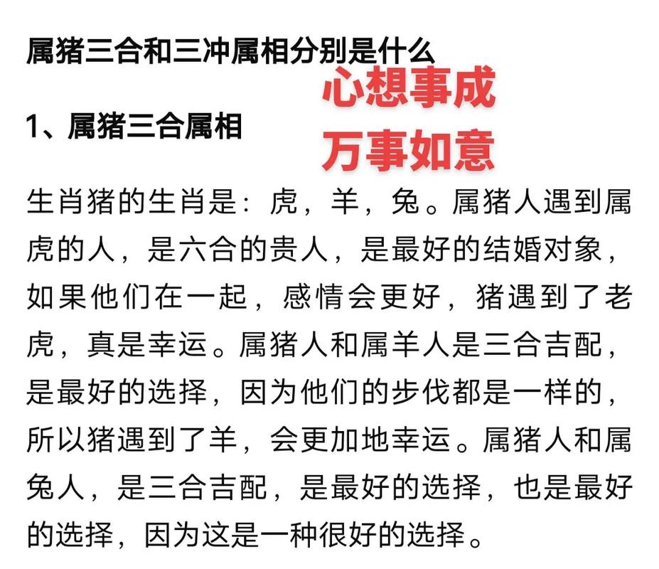 今期猪鼠无希望:今期猪鼠无希望特玛红绿最理想送樵人往来渡是什么肖