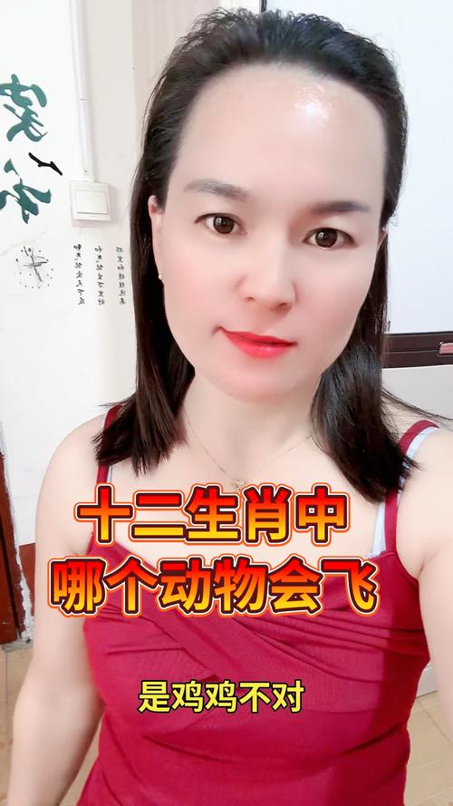 “眼望天空”打一动物生肖:眼望天空回忆美是什么生肖动物