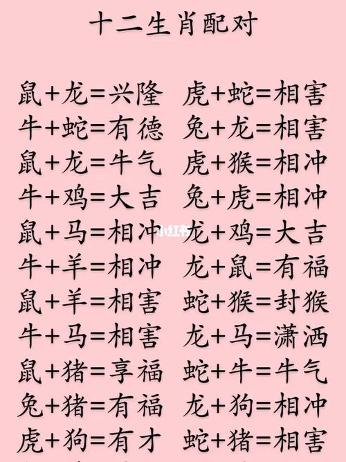 什么生肖最直白:什么生肖直觉最准