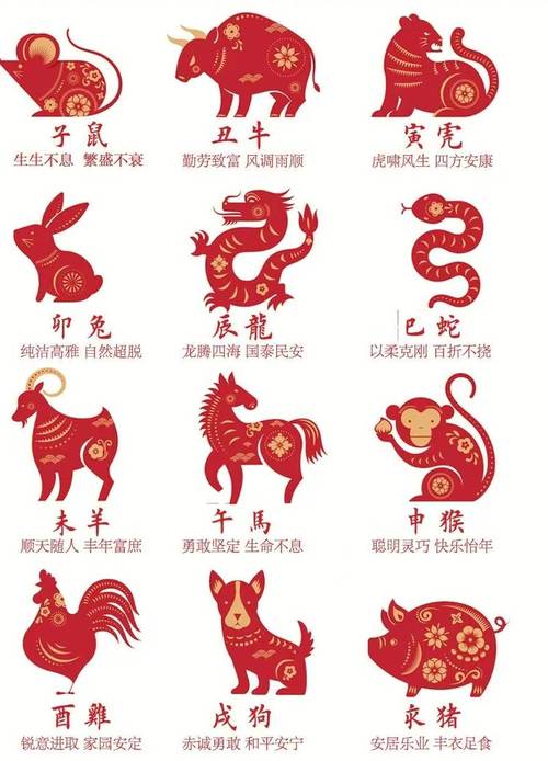 今期生肖最好找打一生肖:今期生肖最出名是什么生肖?