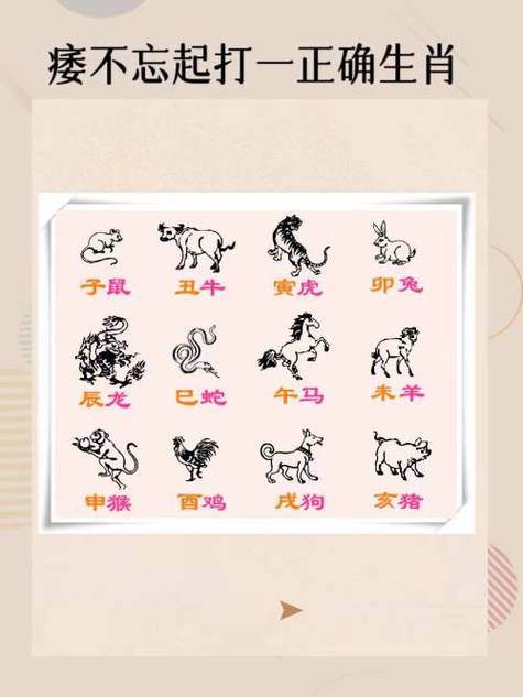 “问长问短”打一正确的生肖的简单介绍