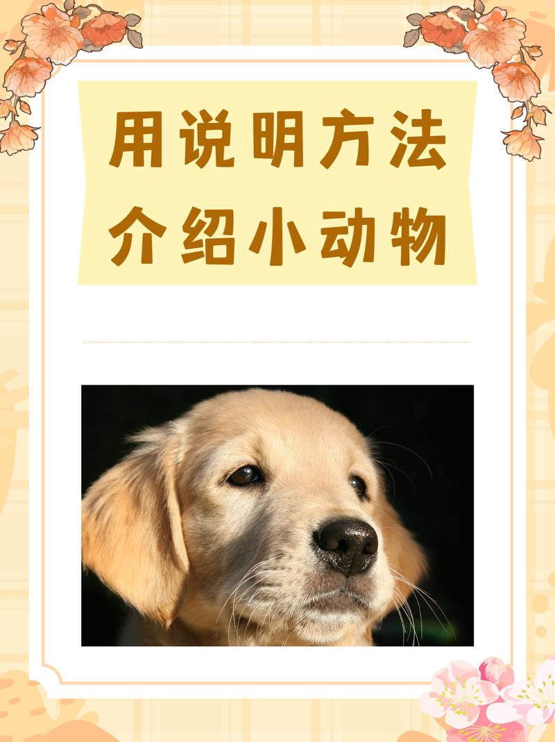 今期特马望二九正确答案动物的简单介绍