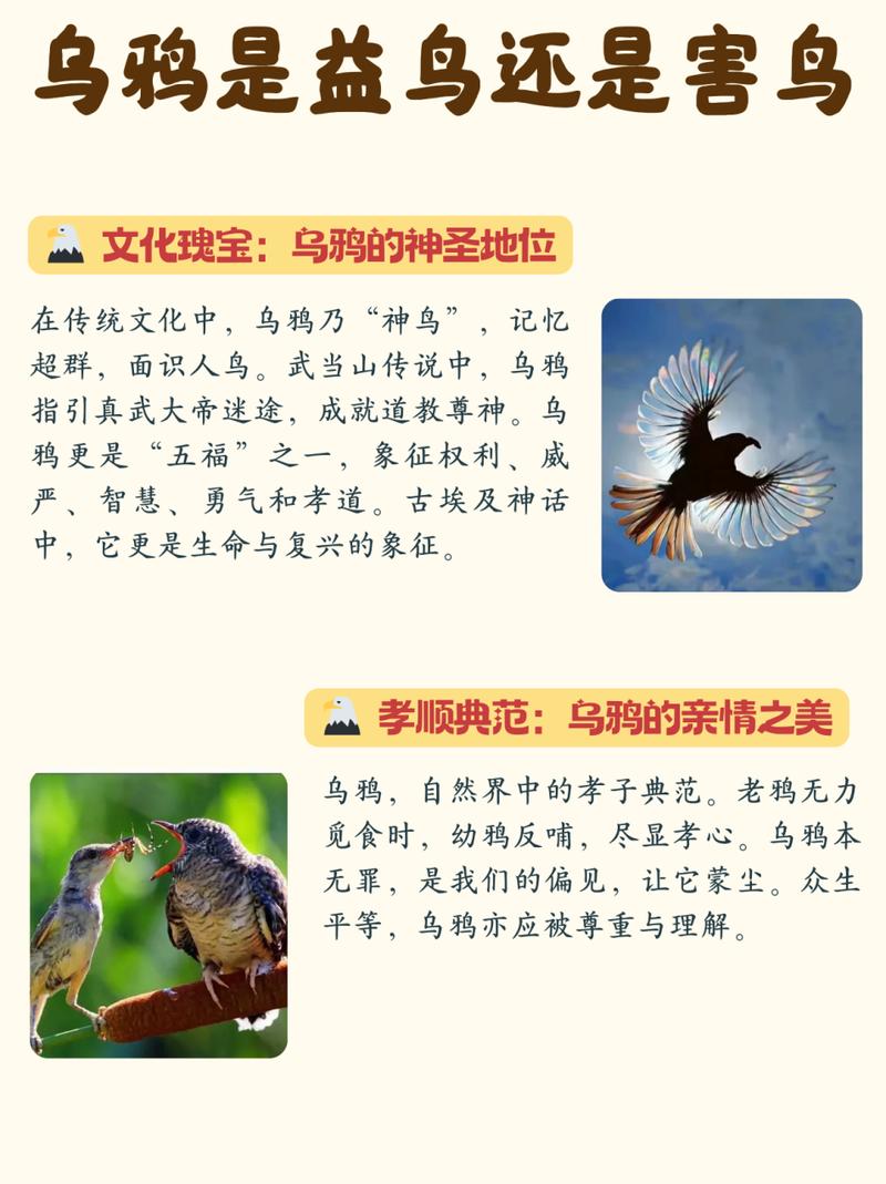 包含“燕雀乌鹊”代表什么生肖的词条