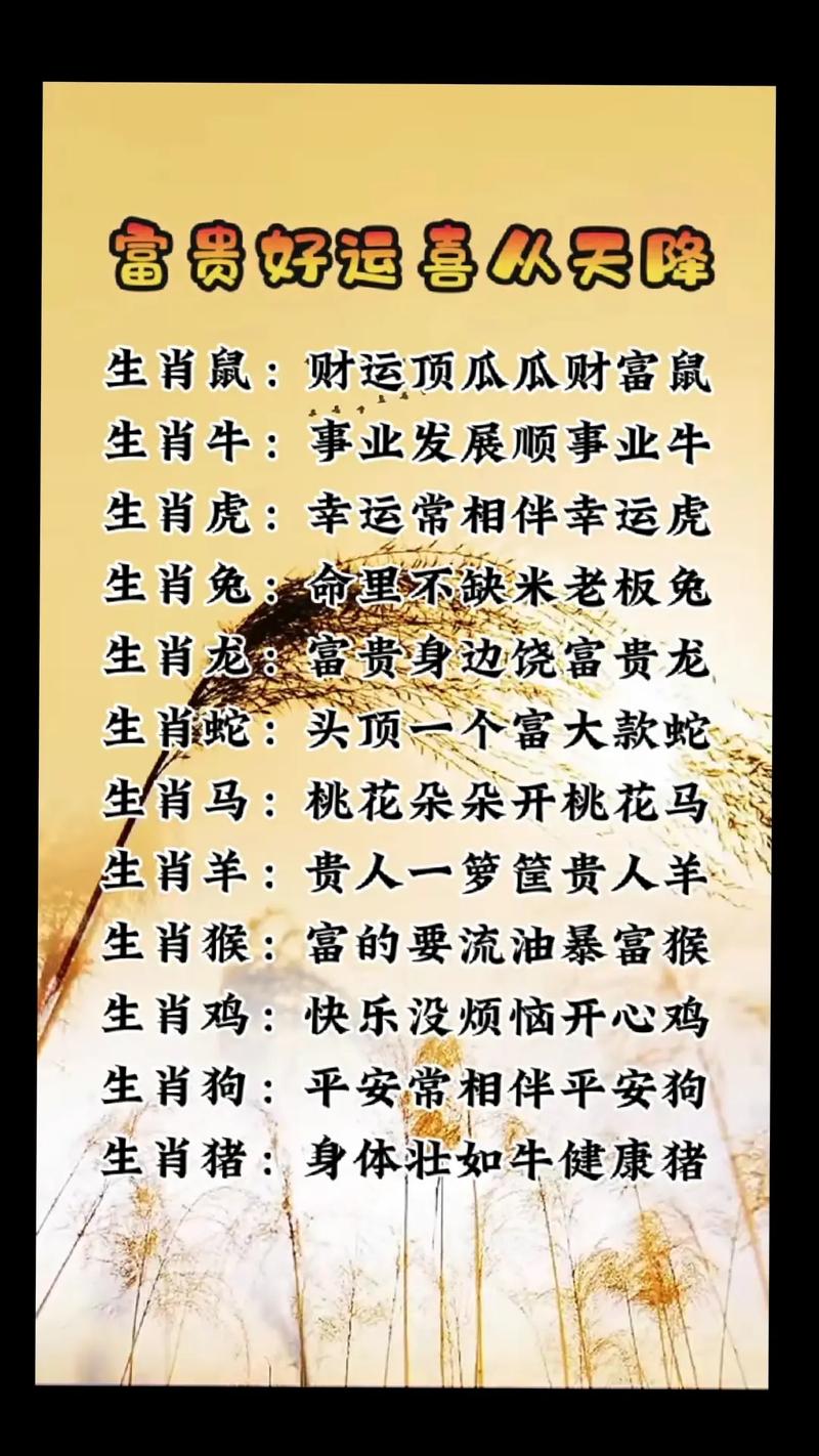 今日生肖开红花是指什么生肖:今日生肖开红花是指什么生肖呢