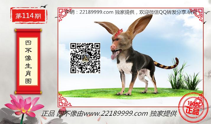 2019玄机码彩图资料:四不像玄机图彩图版免费资料