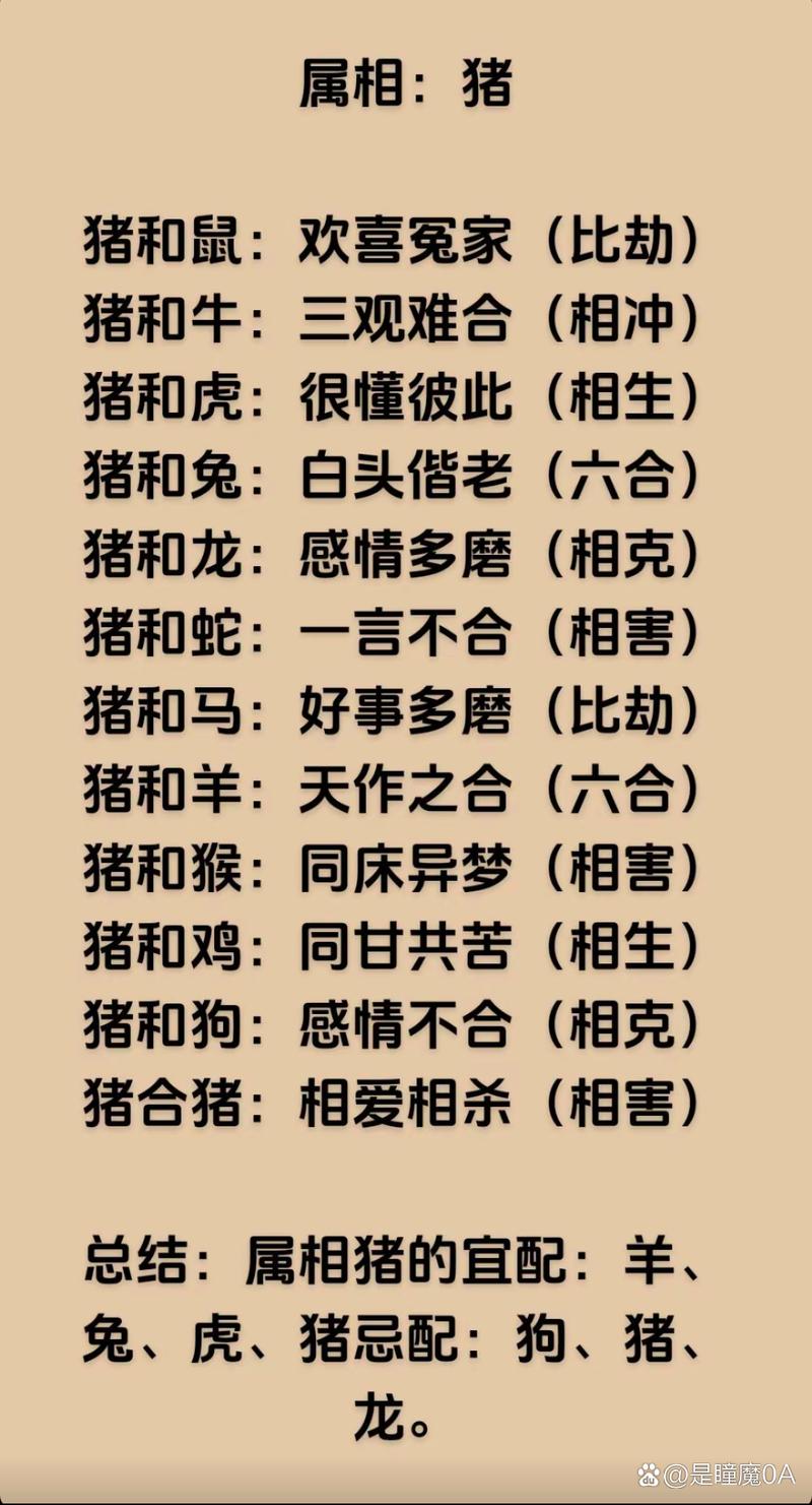包含虎前猪后旺一人指什么生肖的词条