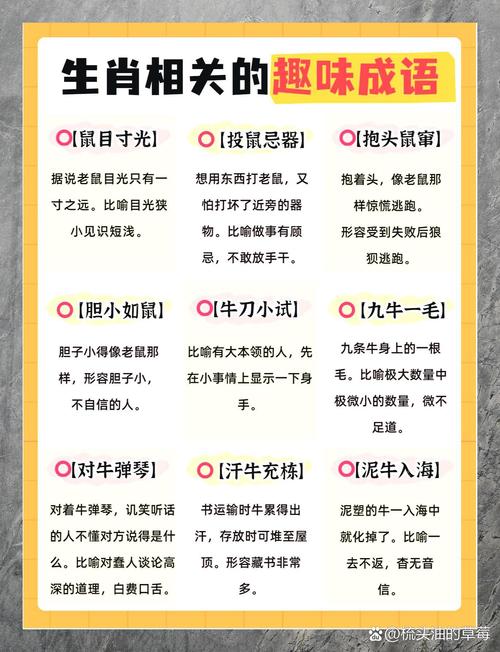 攒打一生肖是什么的简单介绍