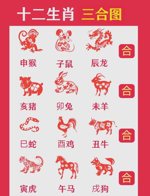 三四好合今期开指哪个肖:三四合数来出特指什么生肖