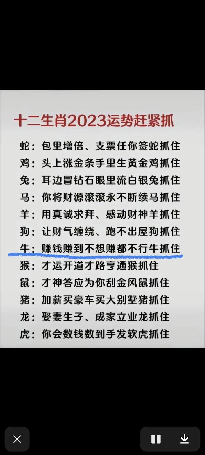 今期单数必定发什么生肖?:今期单数必定发指的是什么生肖