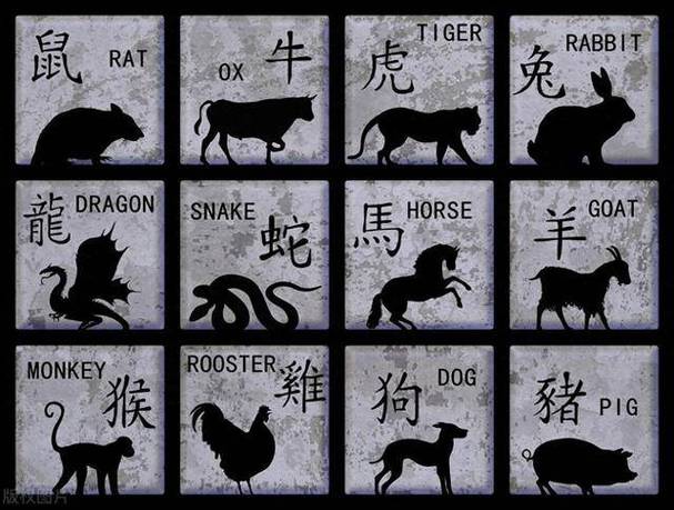一六小码出今期猜生肖:一六小码出今期是什么生肖