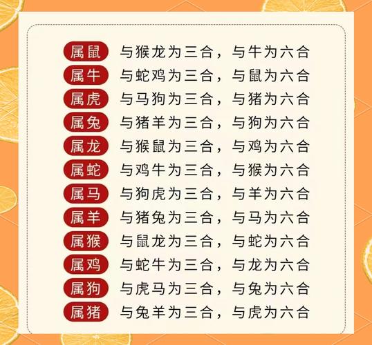 今期生肖三三加是什么意思:今期生肖三三加是什么意思打一正确生肖
