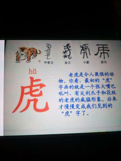 生龙活虎今期现打一正确生肖的简单介绍
