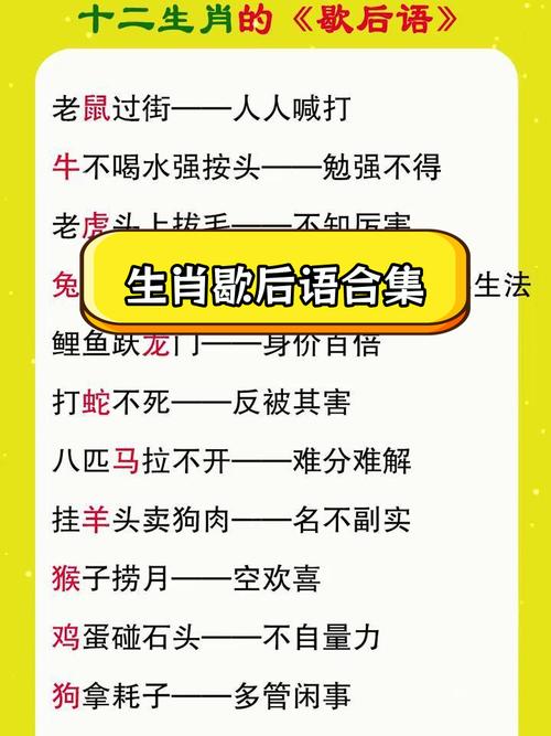 组打一生肖动物:组成12生肖的歇后语是什么