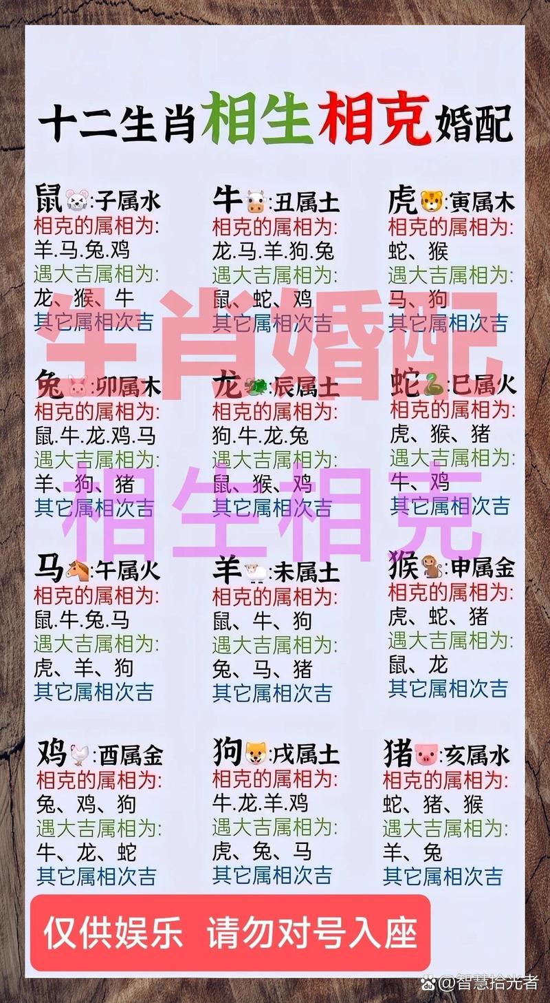 1991年属什么生肖配对最好命:1991年属什么生肖配对哪个生肖