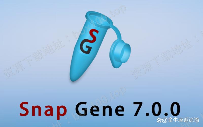 snapchat免费官网:snapchat2021官方最新版