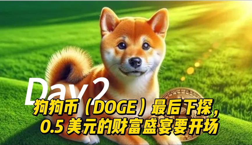 狗狗币下载安装:狗狗币app怎么下载
