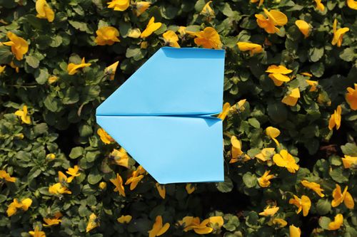 纸飞机tg中文版安装包:纸飞机testflight