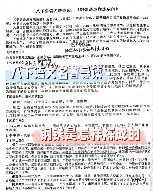 保尔对丽达的态度:保尔和丽达是怎样认识的