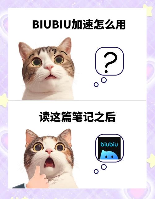 biubiu加速器安装官方:biubiu加速器2019下载安装