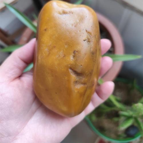 卡瓦石为什么叫短命石:卡瓦石与和田玉怎样区分