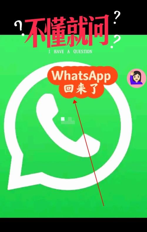 whatsapp国际版最新版:whatsapp海外安卓下载最新版