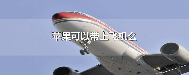 ios飞机怎么下载_苹果怎么下载飞机聊天软件