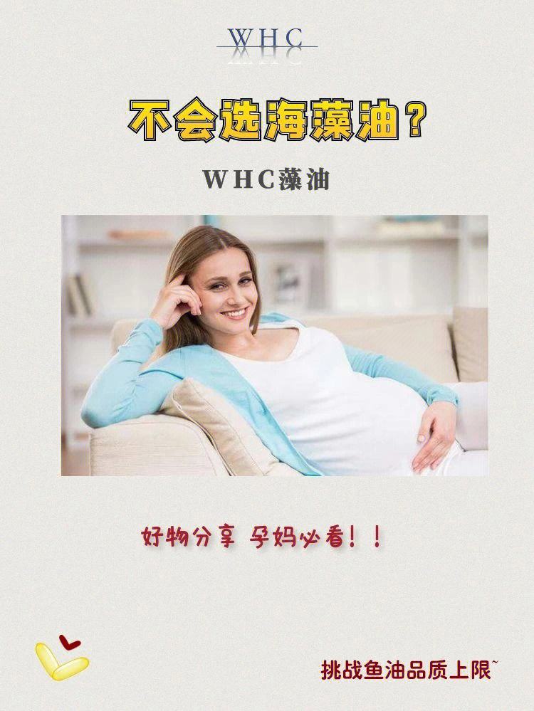 关于优质TG群推荐的信息