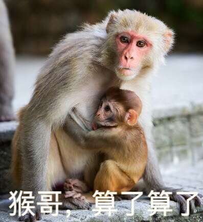 电报猴哥下载_电报员孙悟空原视频
