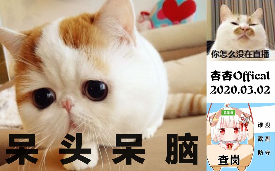 脑子里听到电报声_脑子里听到电报声音