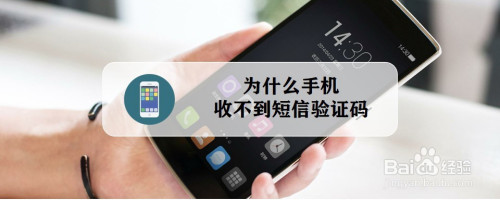 小飞机收不到验证码怎么回事_小飞机收不到验证码怎么回事儿