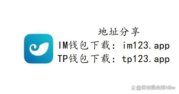 假tp钱包逻辑_tp钱包有假的吗